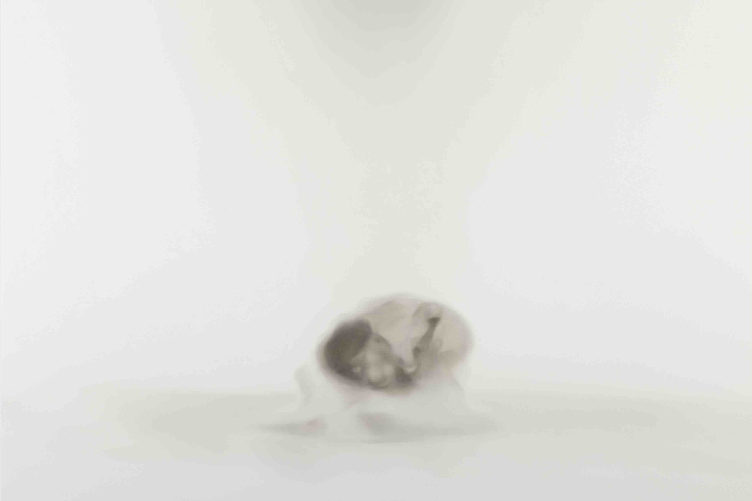 Anne Imhof, ‘Rise I (Study II)’, 2023. Huile sur toile. 175 x 220 cm. Collection Mudam Luxembourg. Acquisition 2024. Courtesy de l’artiste et de Sprüth Magers / Photo : Timo Ohler © Mudam Luxembourg