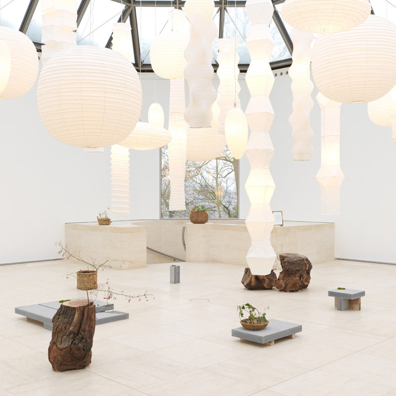 a cloud and flowers | The Contemporary Art Museum of Luxembourg