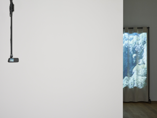 Regelmäßige Führung