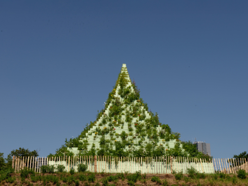 Artful Flow: Yoga at the Pyramid