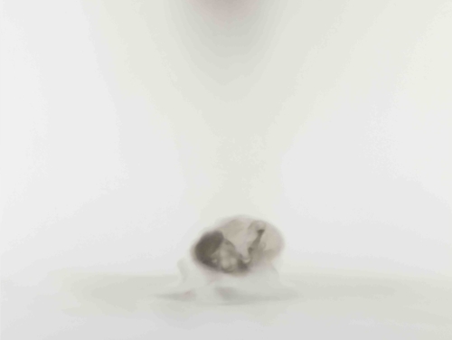 Curator Tour: Anne Imhof | FR