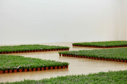 Field Trip | Performance by Bob Kil within the installation by Nina Beier