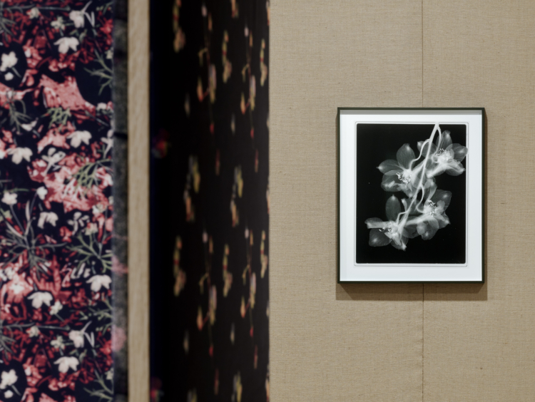 View of the exhibition ‘Lisa Oppenheim: Monsieur Steichen’, Mudam Luxembourg. Photo: Mareike Tocha © Mudam Luxembourg