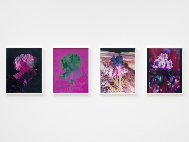 View of the exhibition ‘Lisa Oppenheim: Monsieur Steichen’, Mudam Luxembourg. Photo: Mareike Tocha © Mudam Luxembourg