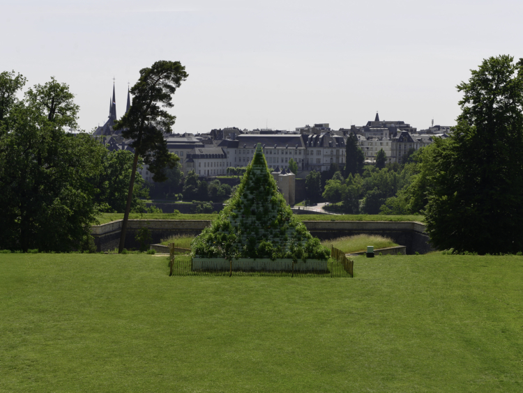 ‘Agnes Denes: The Living Pyramid’, 2015. Park Dräi Eechelen. Photo: Olivier Hoffmann © Mudam Luxembourg