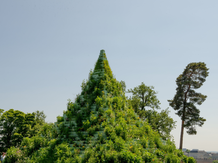 ‘Agnes Denes: The Living Pyramid’, 2015. Park Dräi Eechelen. Photo: Olivier Hoffmann © Mudam Luxembourg