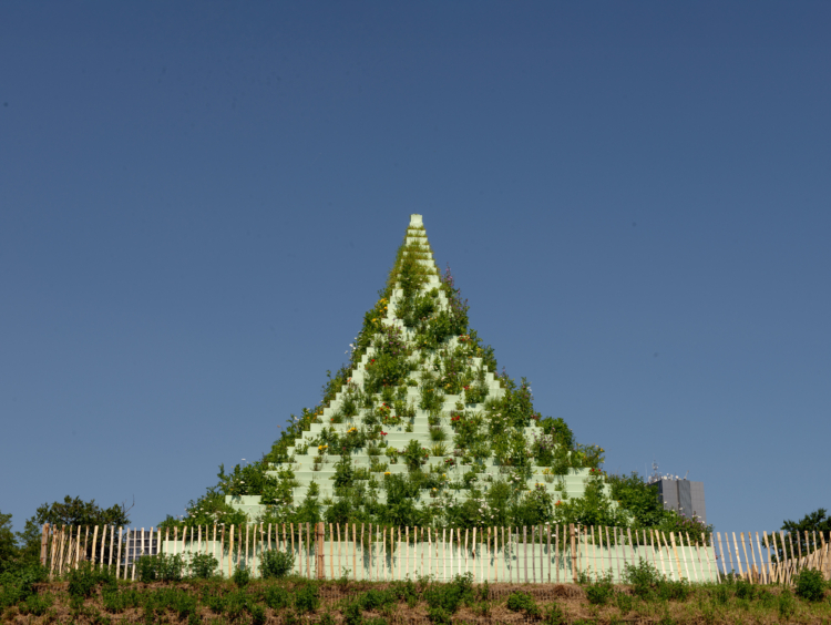‘Agnes Denes: The Living Pyramid’, 2015. Park Dräi Eechelen. Photo: Olivier Hoffmann © Mudam Luxembourg