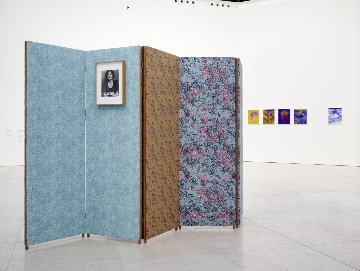View of the exhibition ‘Lisa Oppenheim: Monsieur Steichen’, Mudam Luxembourg. Photo: Mareike Tocha © Mudam Luxembourg