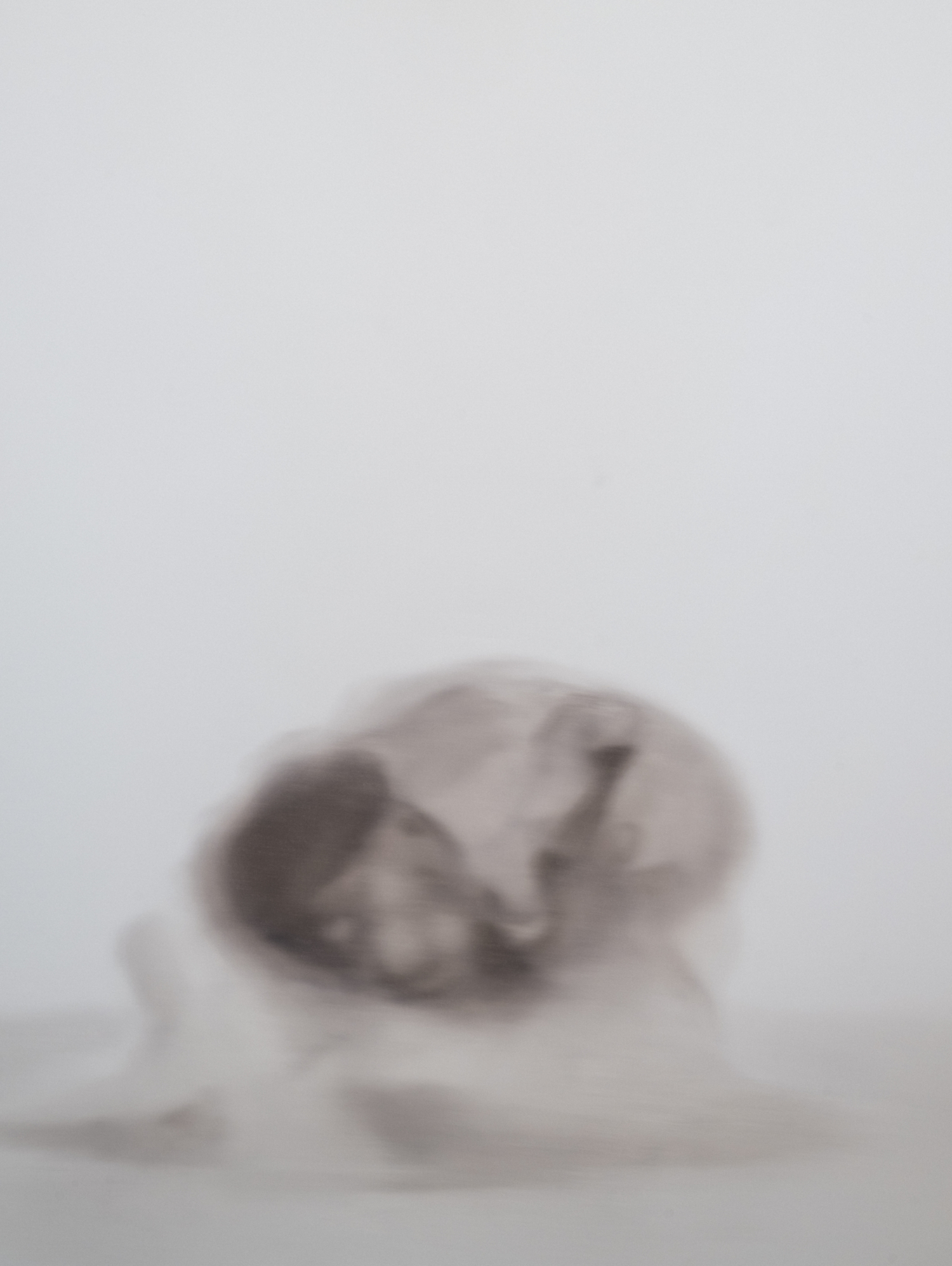 Exhibition view ‘Seven Paintings – Seven Encounters’, Mudam Luxembourg. Photo: Mike Zenari © Mudam Luxembourg. Anne Imhof, ‘Rise I (Study II)’, 2023. Collection Mudam Luxembourg. Acquisition 2024