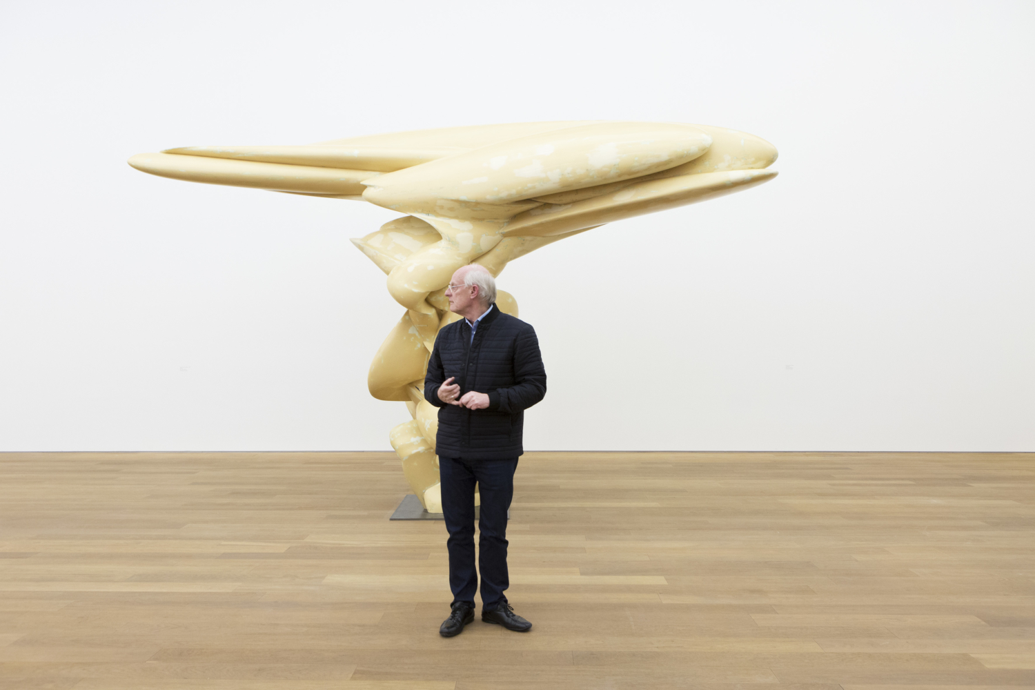 Tony Cragg